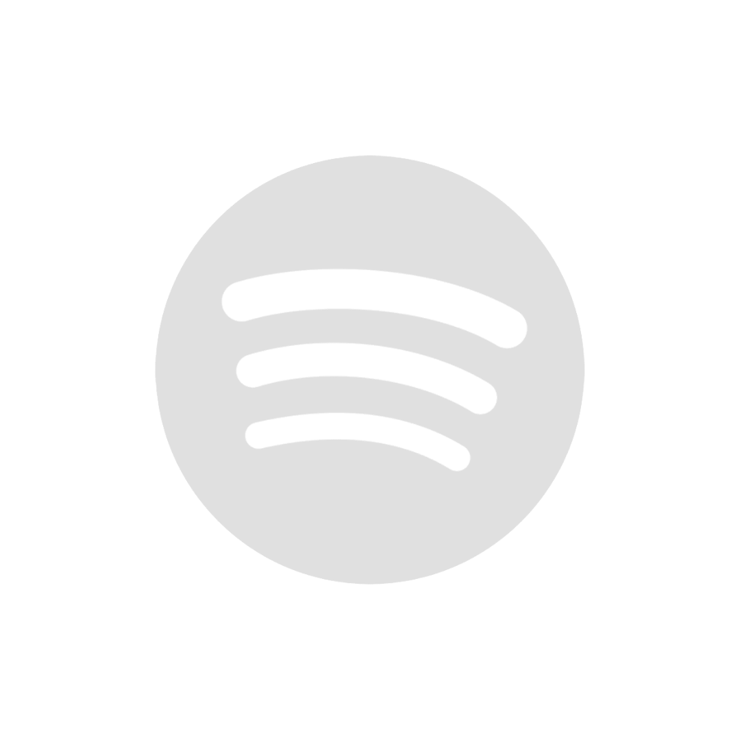 home - section 3 - logo client duotone spotify