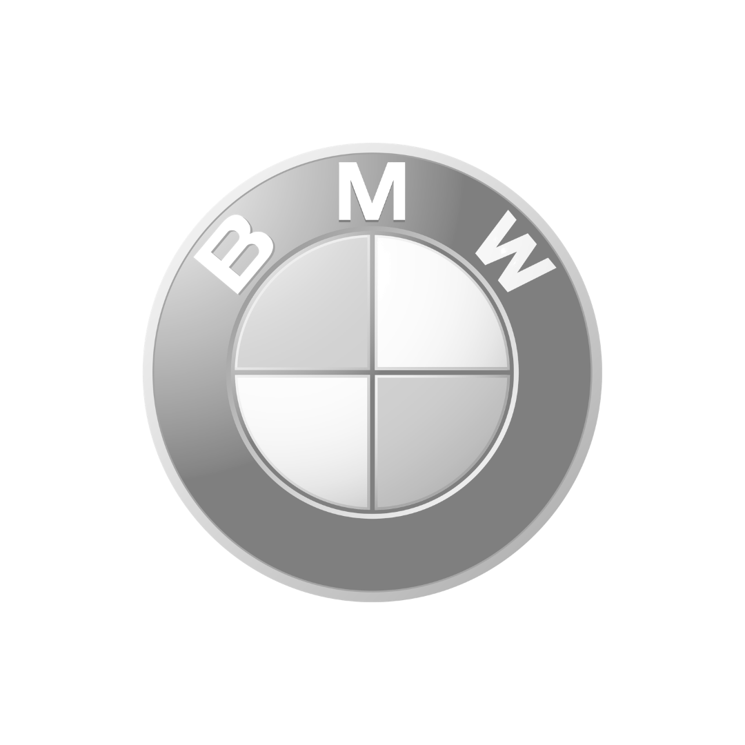 industries - electronics - logo client duotone bmw