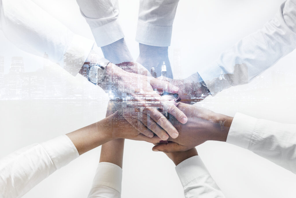 Turning this strategy into reality requires a team of experts driving it forward.